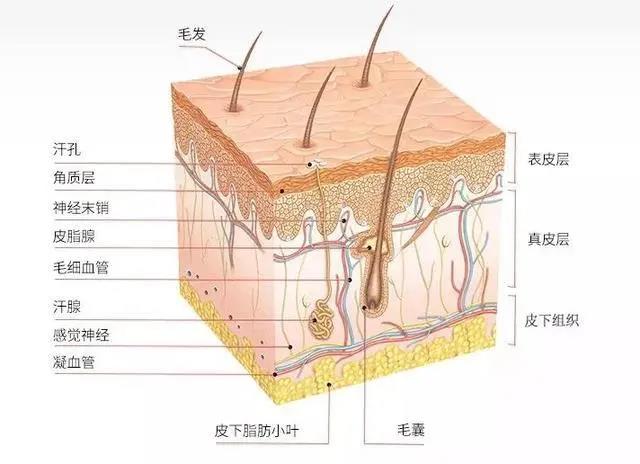 微信图片_20211216110627.jpg