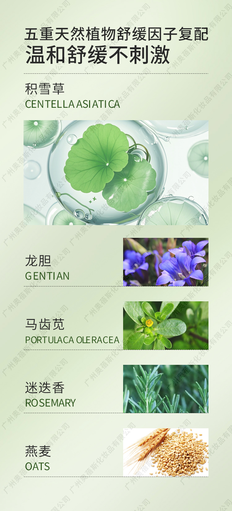 积雪草柔软褪红舒缓面膜代加工详情介绍2.jpg