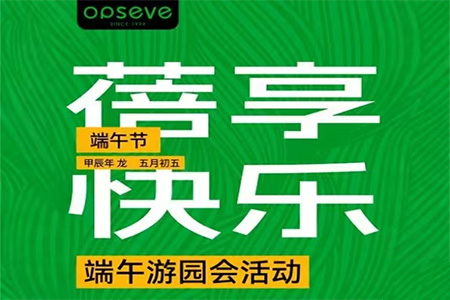 奥蓓斯端午游园会活动图片.jpg