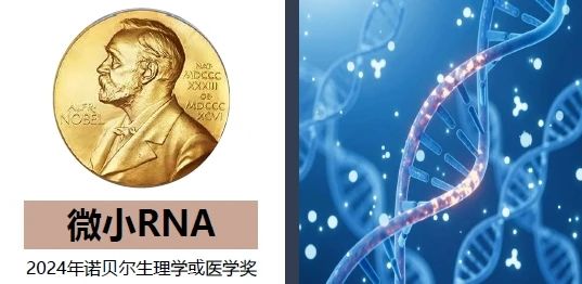 细胞源动力抗衰代工系列.jpg