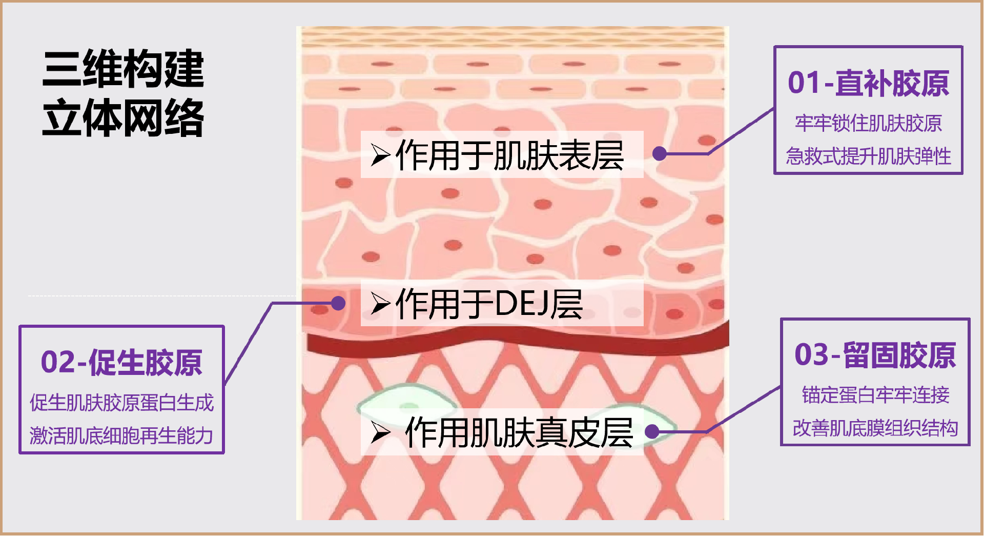 奥蓓斯胶原灌注面膜代加工.png