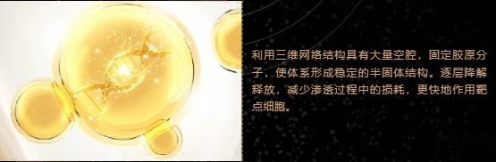 奥蓓斯胶原灌注面膜代加工.png