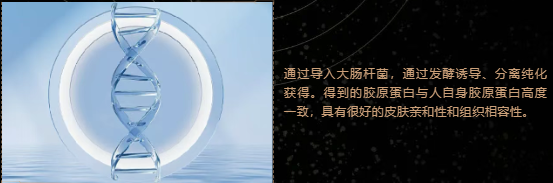 奥蓓斯胶原灌注面膜代加工.png