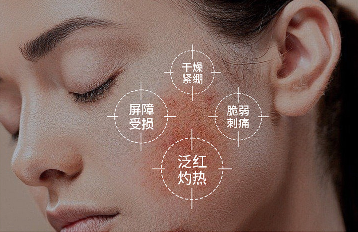 1762402489161033.png 3f1ddef1043ddc79a4fd2ef7318092ac.png