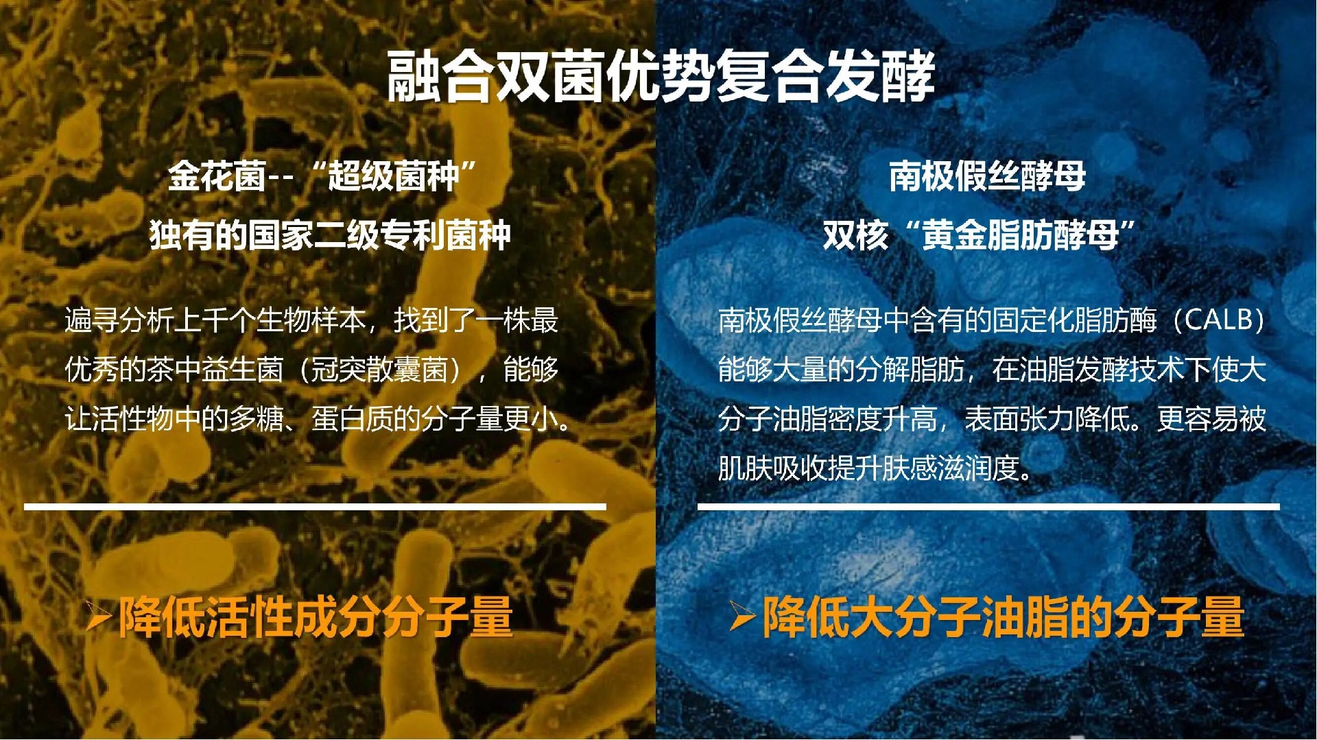 1762402760160752.jpg 4f376fd2af588fe6280e80d0a8eacd50.jpg