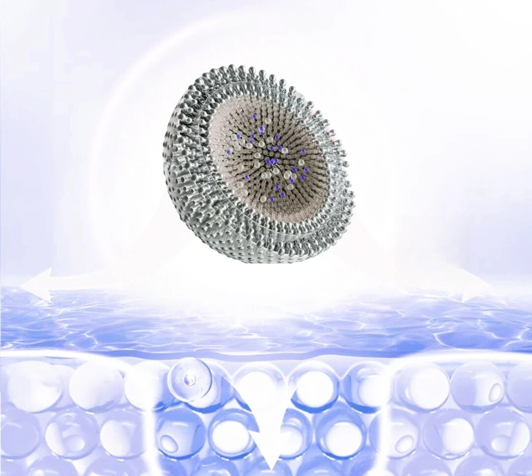 1762420132778399.jpg 563caba569763fbe1c15a24f05e4aac5.jpg