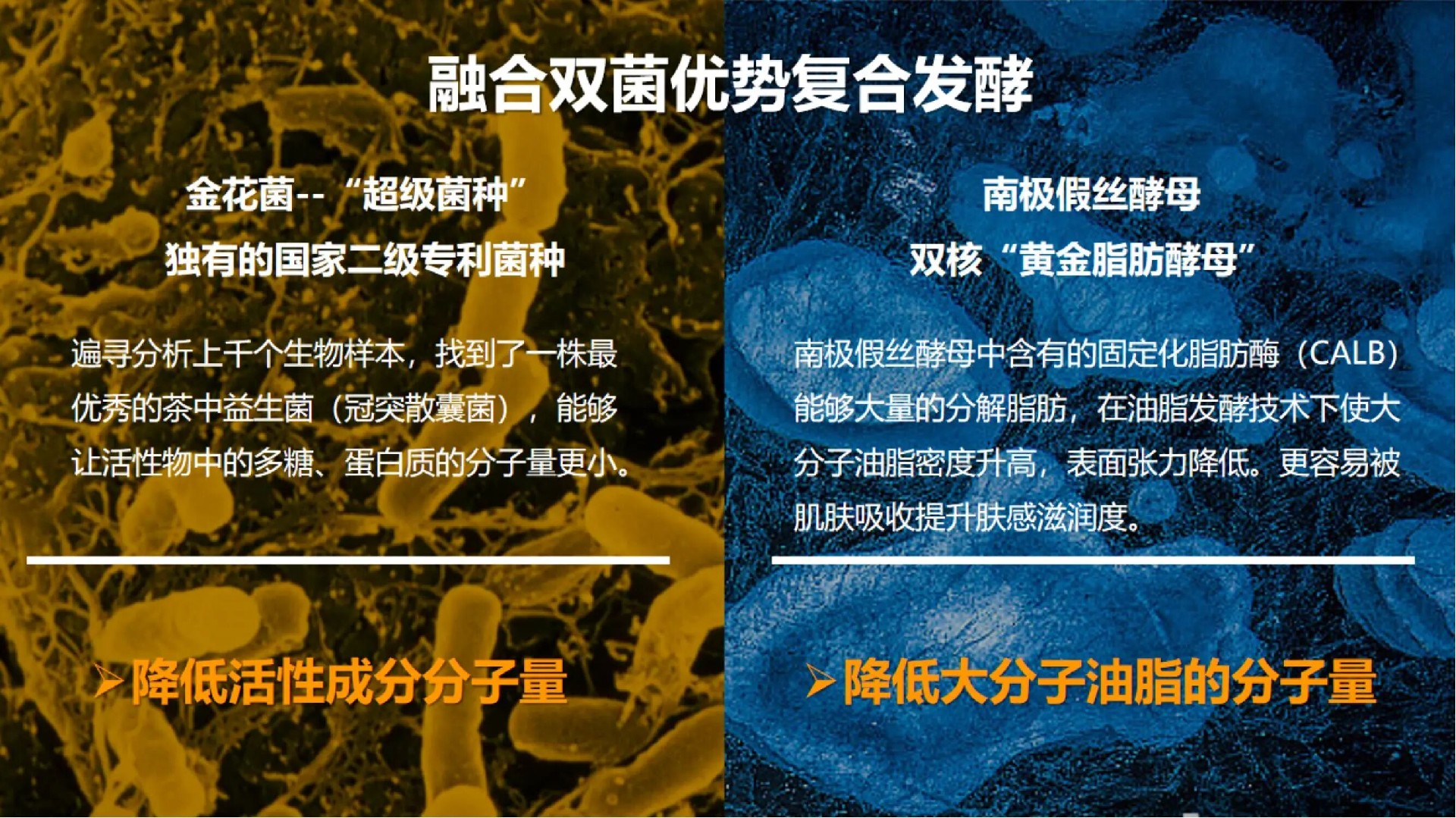 1762486423266241.jpg 7caf2fe2cf759ea43ed54fc3f5d9c9ea.jpg