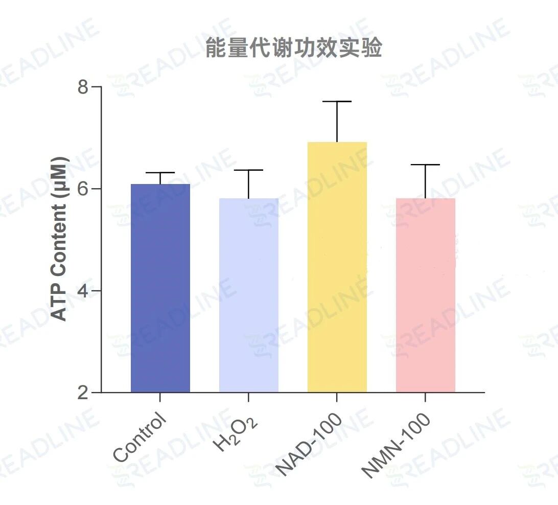 1762487363118740.jpg 3c883e3eea698c10e56603d45e725932.jpg