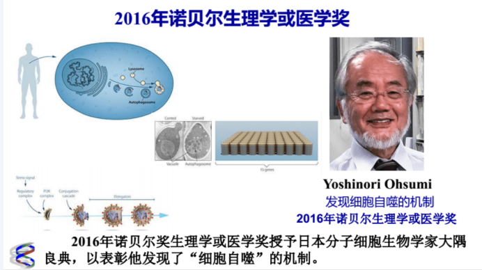 1762495012200399.png a6bee52d5a017ab8e45dca292185f250.png