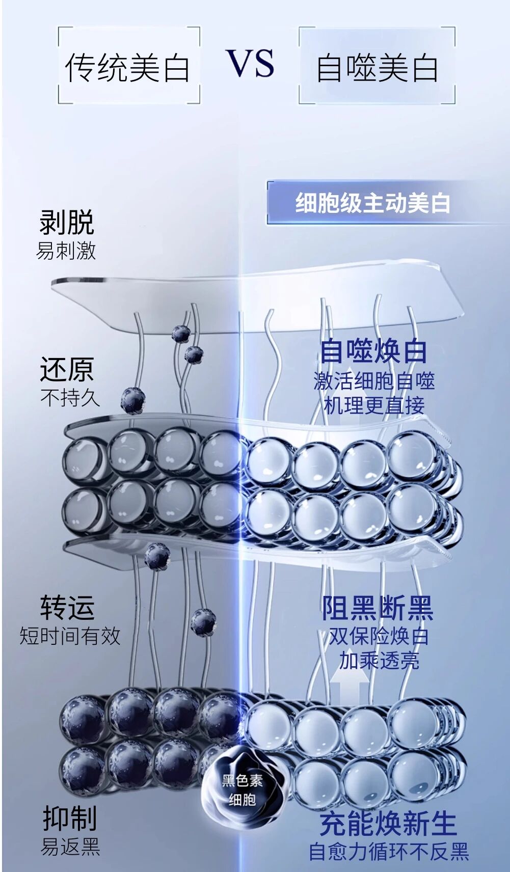 1762495034158392.jpg 0f32905d066dac5041a0697f3c3e21e4.jpg