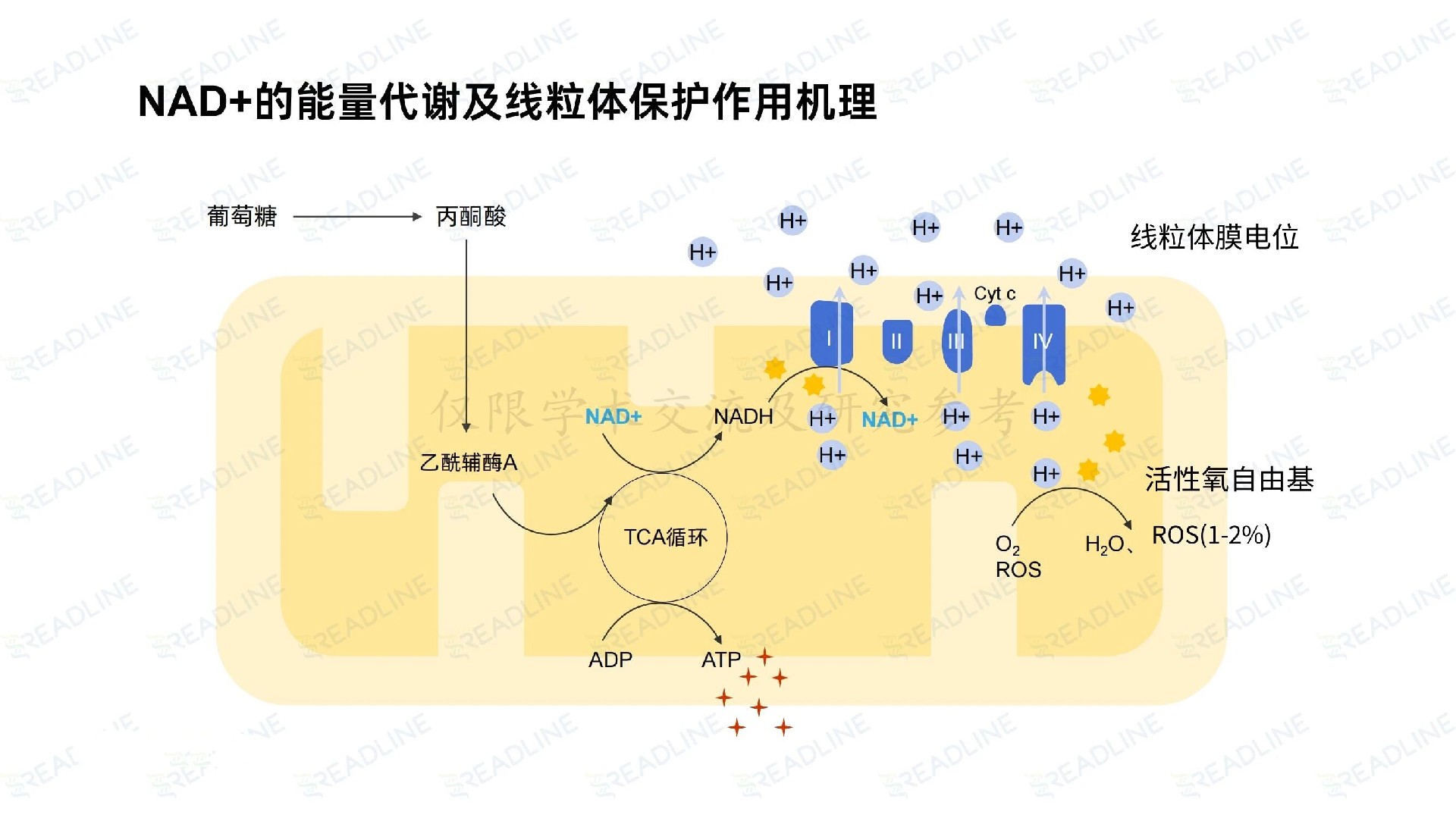 1762495063208182.jpg efa14cc2f720cbbcae8d89494ebb2f68.jpg