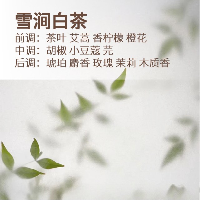 1762499723289112.png f8afbe1bc94f97202a0d20faeace9072.png