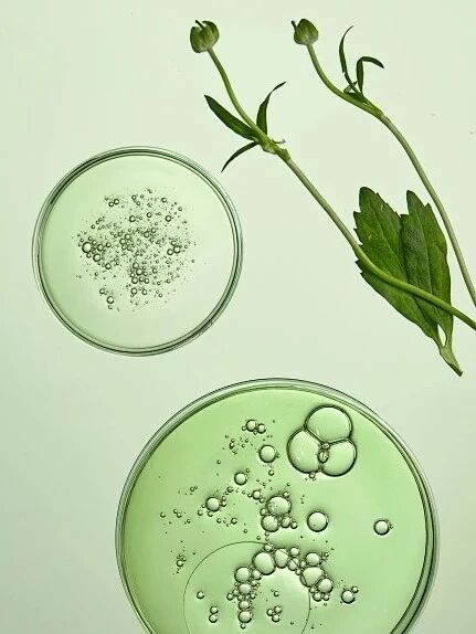 1762499774116206.jpg 1922da2241012f5a90e24d59466c59be.jpg