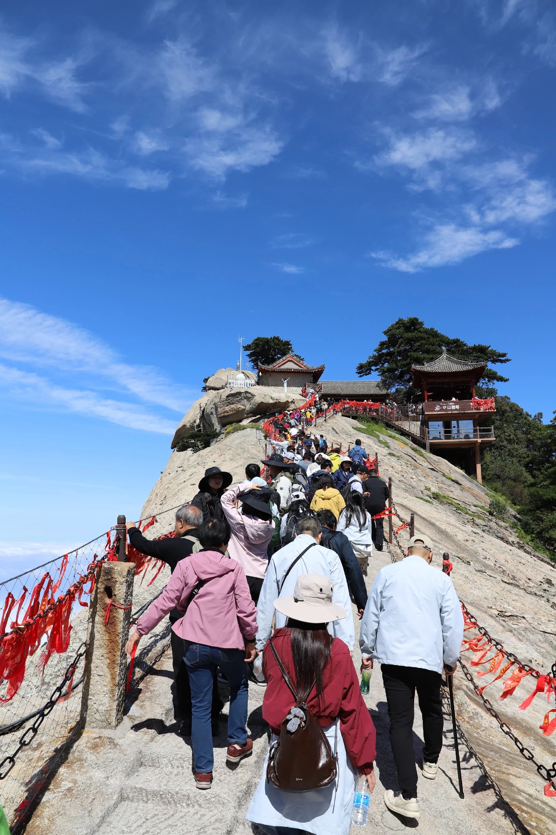 1762500756128496.jpg 39c8c2375639b2a62fa17e548ae75f3d.jpg