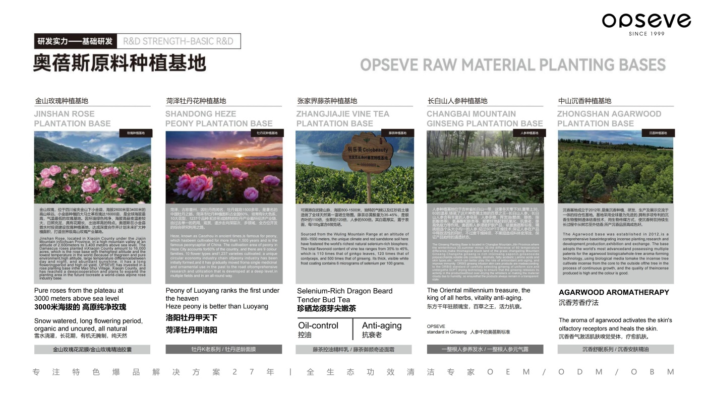 （公共版）Opseve企业简介20260314_13.jpg