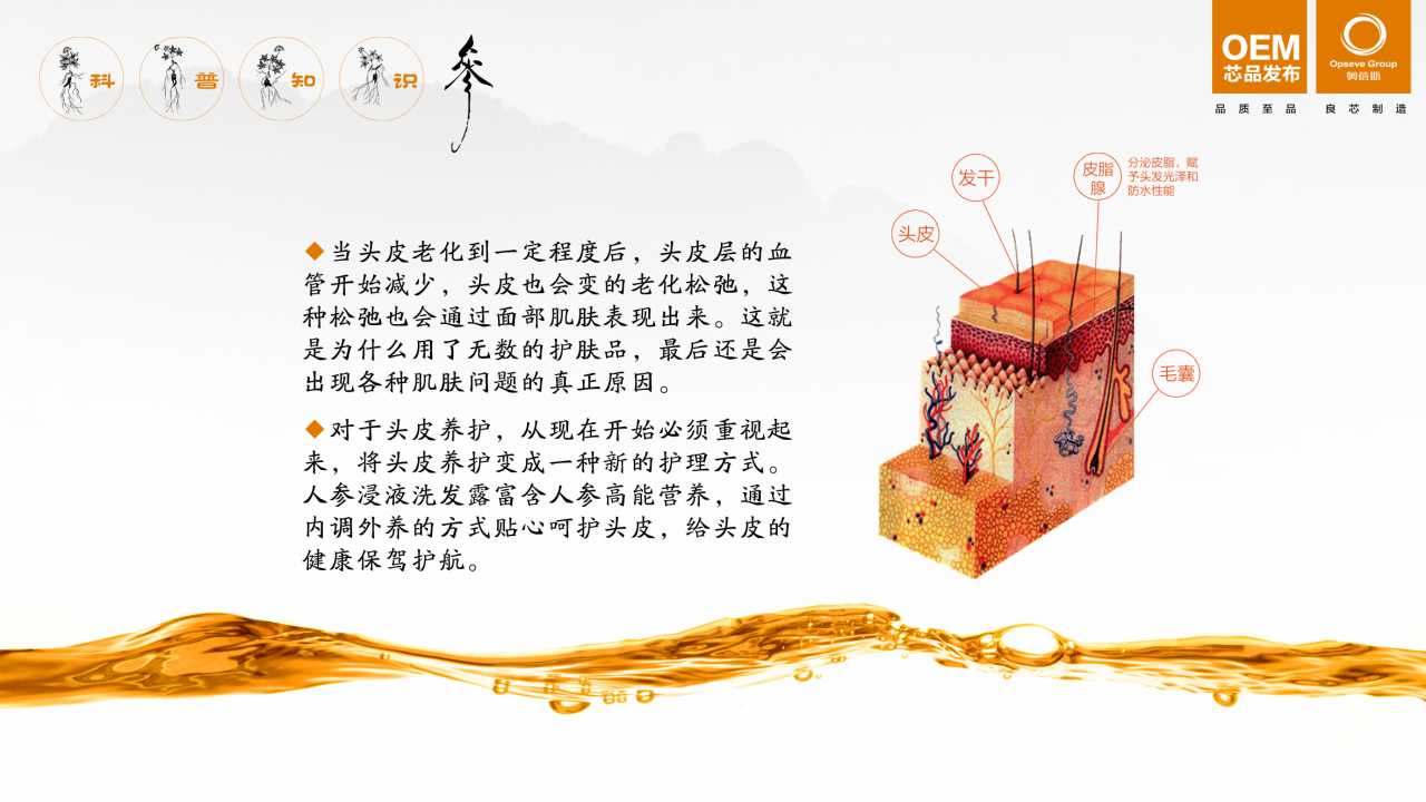 人参洗发水OEM千亿体育网站 千亿体育客服千亿体育网站