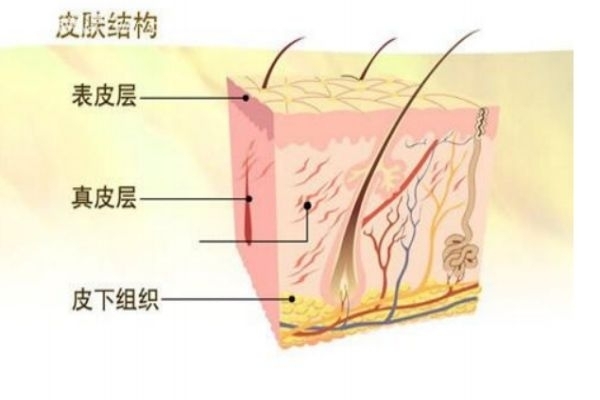 如何去脸上角质层呢 去角质层有什么好处呢