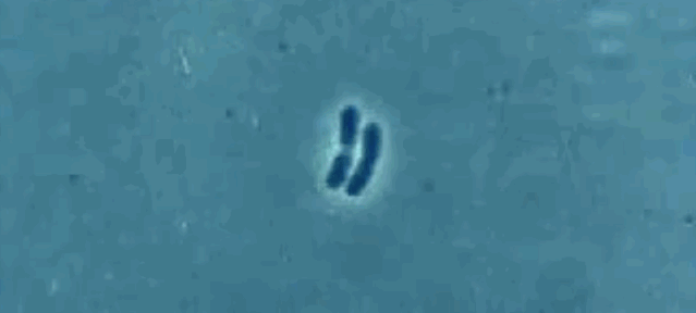 微信图片_20210123111548.gif