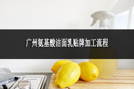 广州氨基酸洁面乳贴牌加工流程是怎样