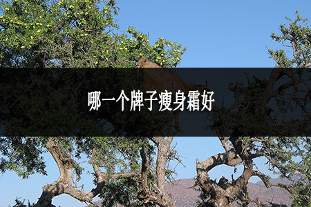 哪一个牌子瘦身霜好