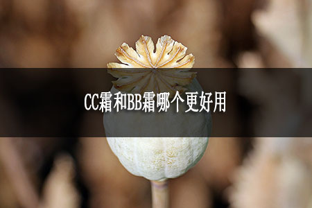 CC霜和BB霜哪个更好用