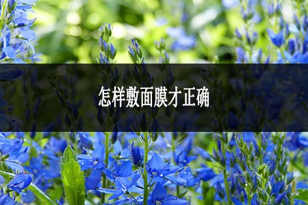 怎样敷面膜才正确